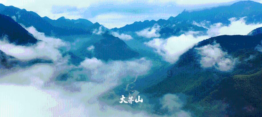 花语月